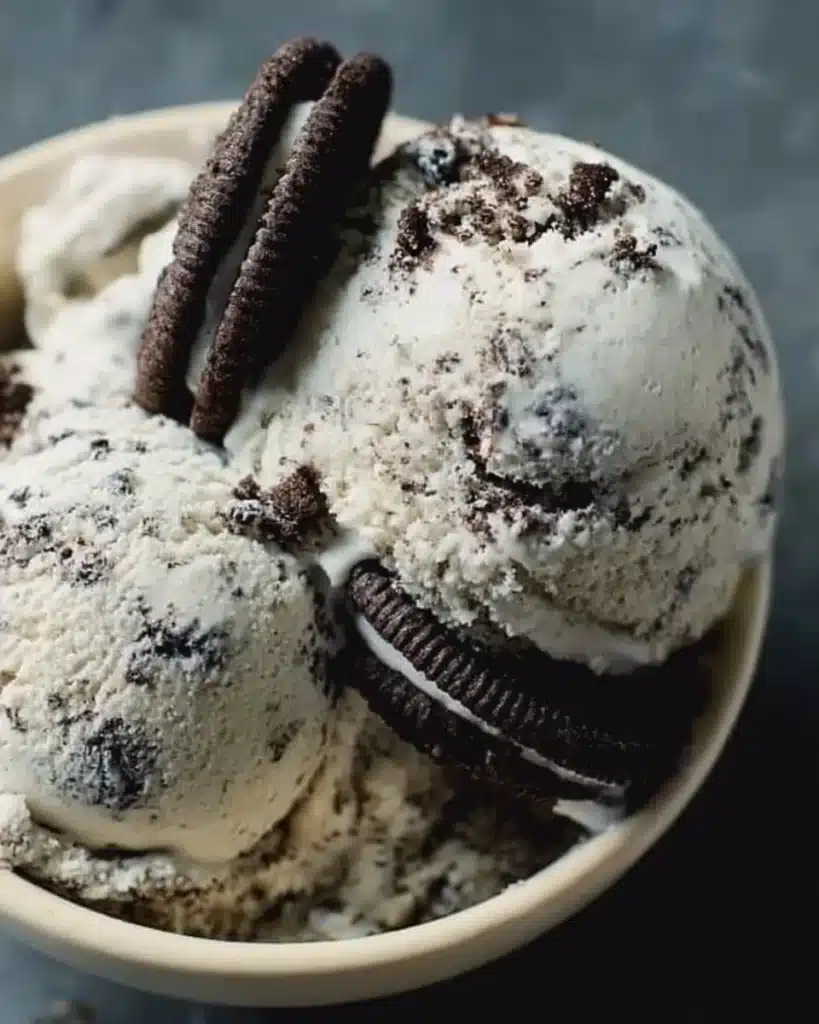A delicious bowl of Cookies and Cream Ice Cream with chocolate cookie chunks